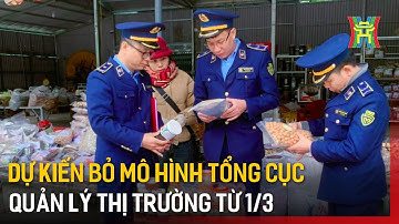 Dự kiến bỏ mô hình Tổng Cục Quản lý thị trường từ 1/3 | Tin tức