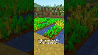 Paying Villagers Back in Minecraft 🥳