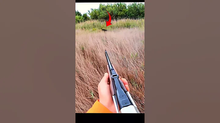 охота на кабана с самым лучшим выстрелом#caccia #cinghiale#wildhunting #chasse #hunting