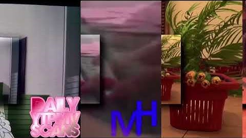 86 Shuric scans with are slides 