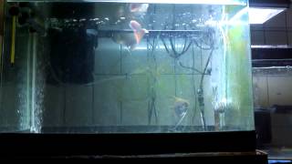 VID 20120919 195516