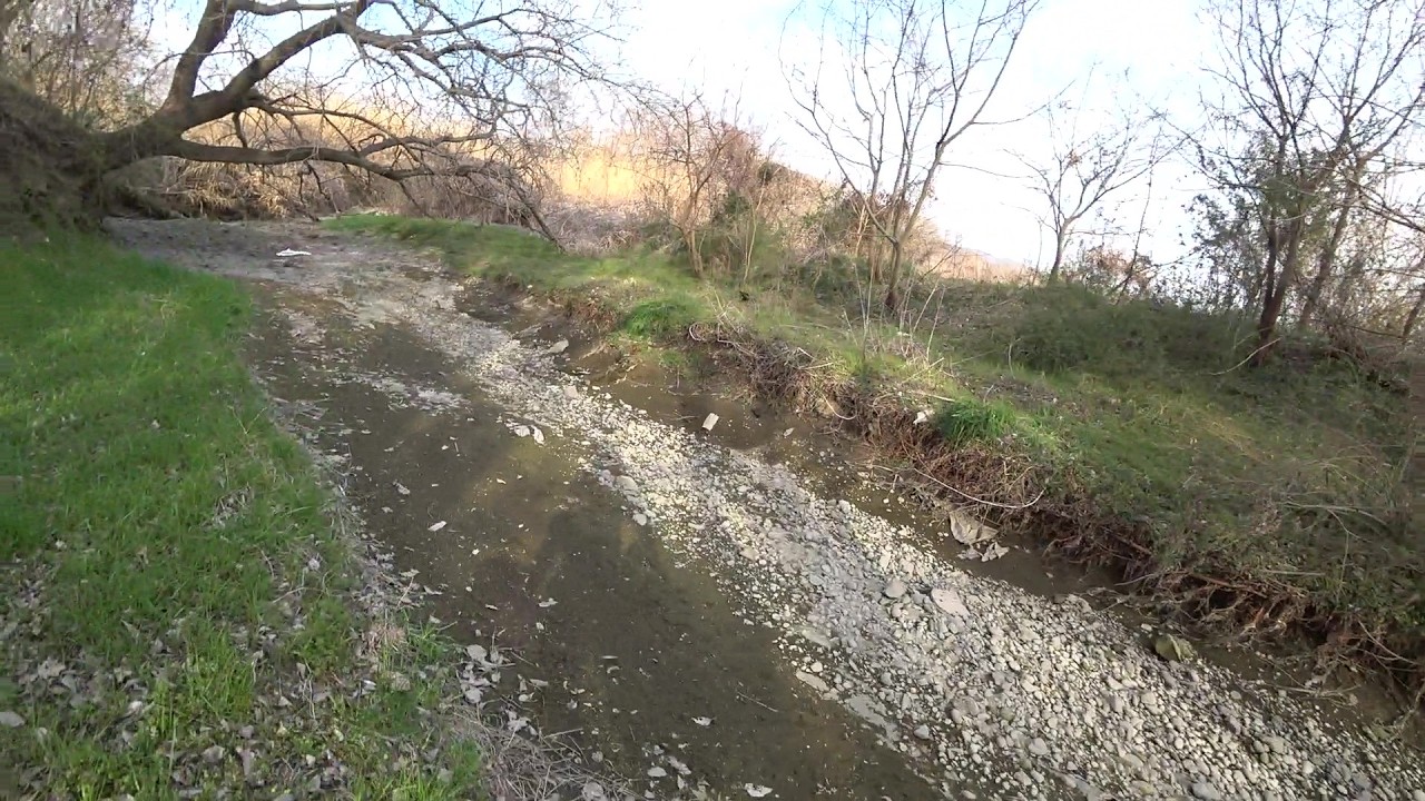 Nature Wonderland; surveying the dry downstream area of Endo River for good Japanese reeds 20260309