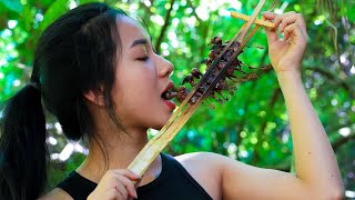 Food shortage, Crafting many bird Traps/ Bushcraft & Survival P.5