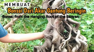 Bonsai cepat jadi !!! Dari Akar Gantung Beringin Unik Nan eksotik