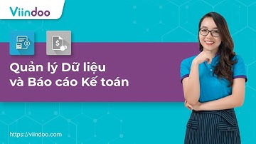 [HDSD] Viindoo Accounting - Quản lý Dữ liệu và Báo cáo Kế toán | 14.0