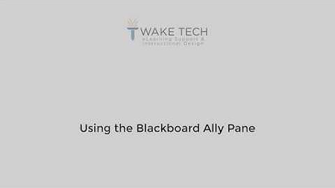 Using the Blackboard Ally Pane