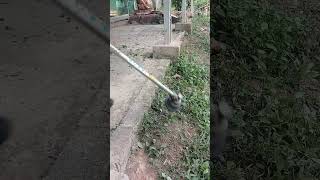 trimmer head potong rumput murah #mesinrumput