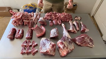 Sheep processing - April 2022 Part 3, butchery, new methods and learning as we go