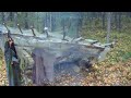 В лес к озеру Старому шалашу .2 ЧАСТЬ заключительная .Bushcraft