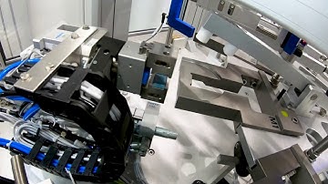 Petri dish / cell culture dish labelling machine with fully automatic format part change over.