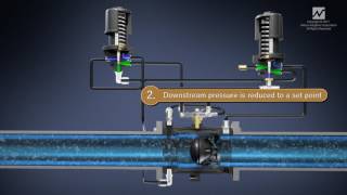 Nelson 1000 Series Combination Pressure Reducing Sustaining Irrigation Valve