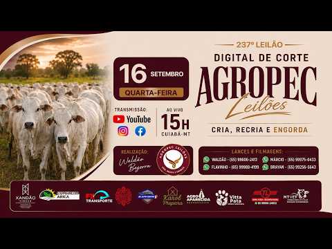 237º LEILÃO DIGITAL DE CORTE AGROPEC