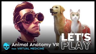 I shrunk myself to explore a dog?! | Let’s Play Animal Anatomy VR (PSVR2)