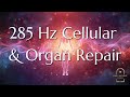 285 Hz Cellular & Organ Repair • Emotional Release & Somatic Healing (2 Hours)