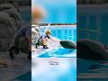 The boy and the killer whale became friends.#movie