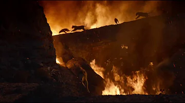 The Lion King (2019) - Last Fight Between Scar and Simba (Final Scene)