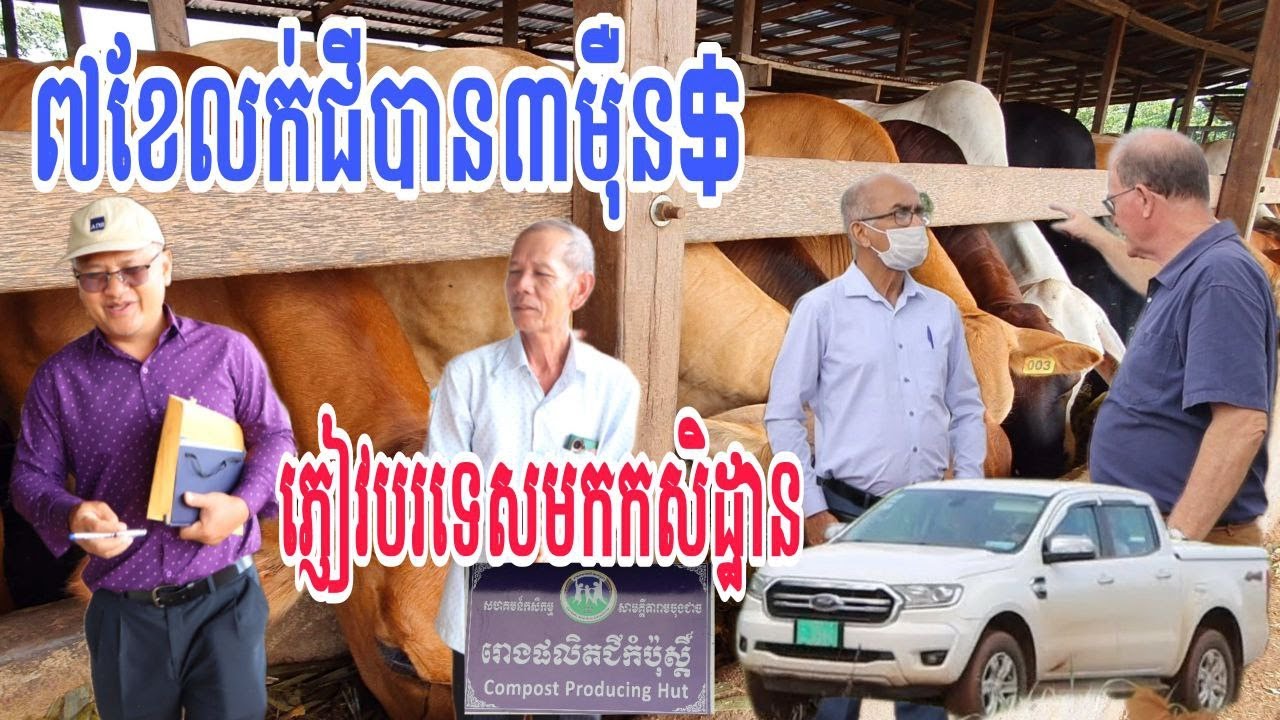 ត្រឹម៧ខែលក់ជីកំប៉ុស្ត៍បាន៣ម៉ឺនដុល្លារ /ភ្ញៀវបរទេសមកកសិដ្ឋានលោក ហ៊ត លាង