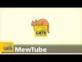 MewTube | Pilot show