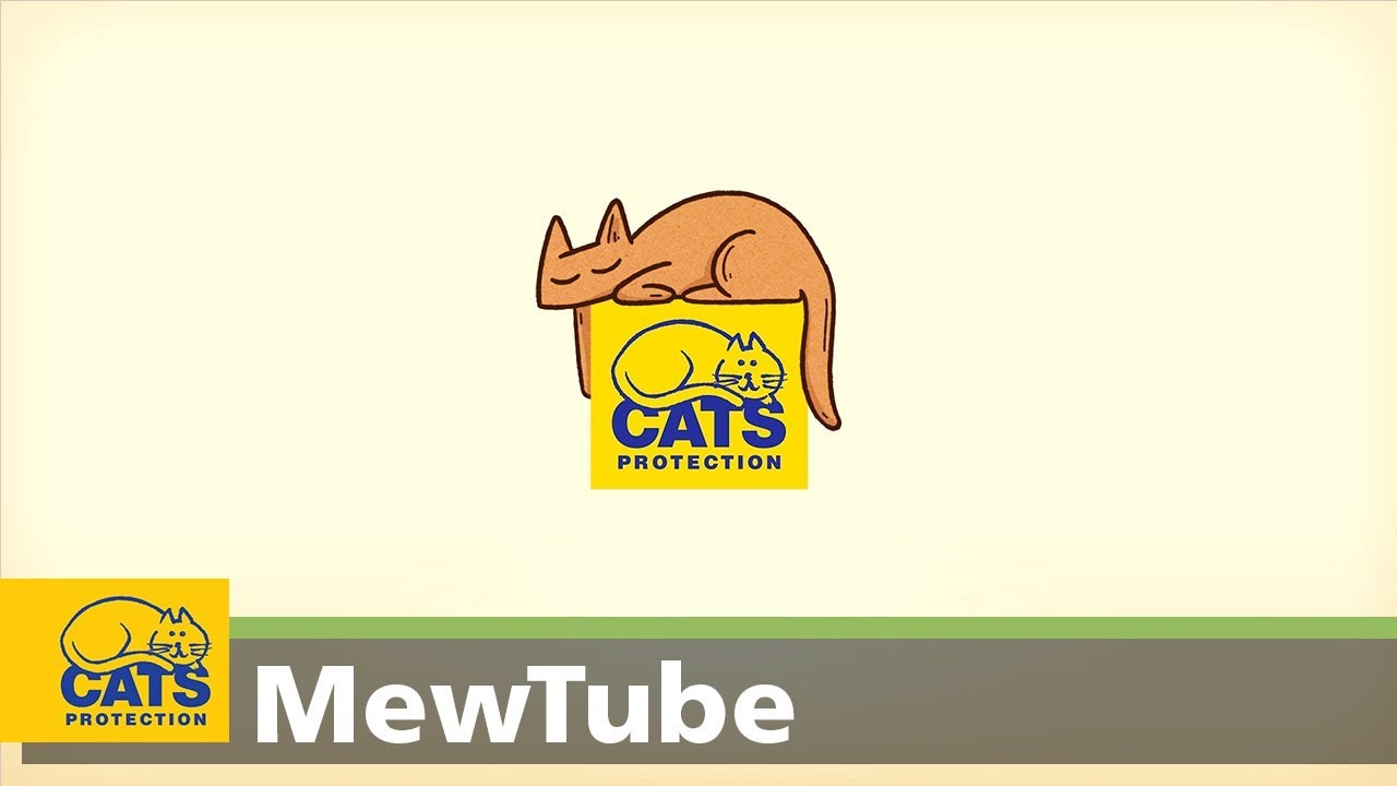 pet toys online MewTube | Pilot show