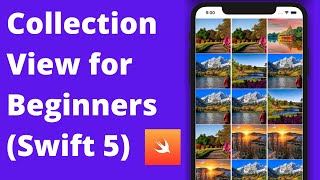 Create Collection View for Beginners (Swift 5, Xcode 12, iOS) - 2020 iOS Development screenshot 4