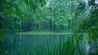 The beautiful little lake is raining(164) , sleep, relax, meditate, study, work, ASMR