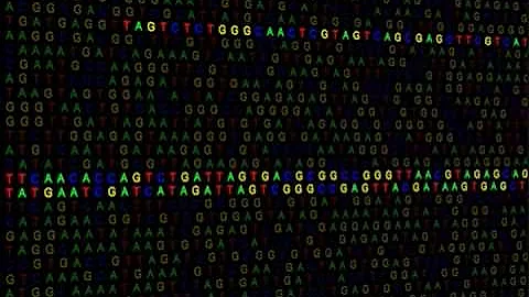 Evolution: Genetic Evidence - Transposons