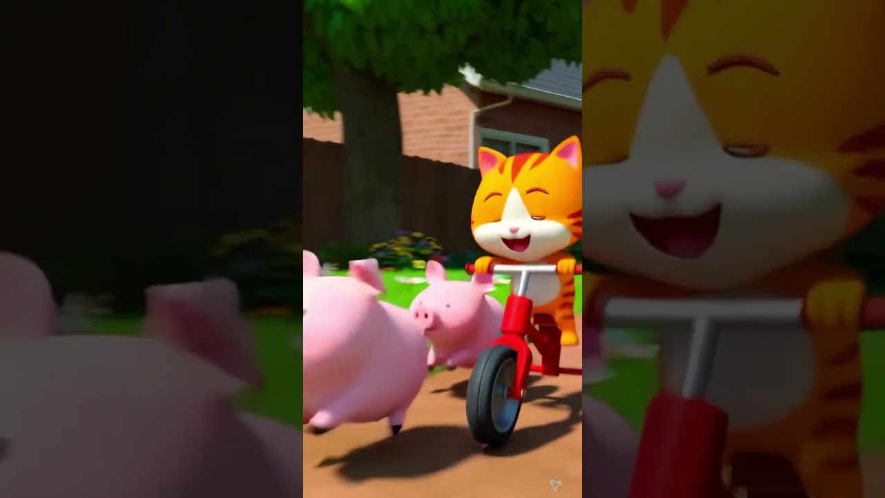 Billu the cat riding bicycle with the pigs