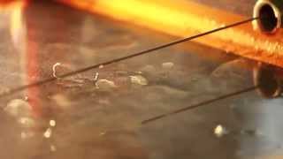 Famous Wilson's Cloud Chamber Profile
