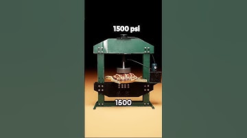 Are Turtle Shells Bulletproof? 3D Animation #shorts