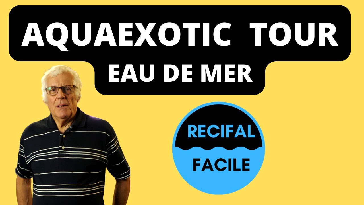 AQUAEXOTIC - Vue côté MER