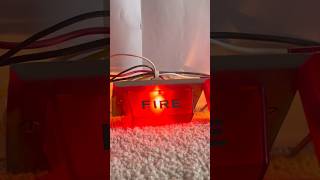 Rare Simplex Light Test