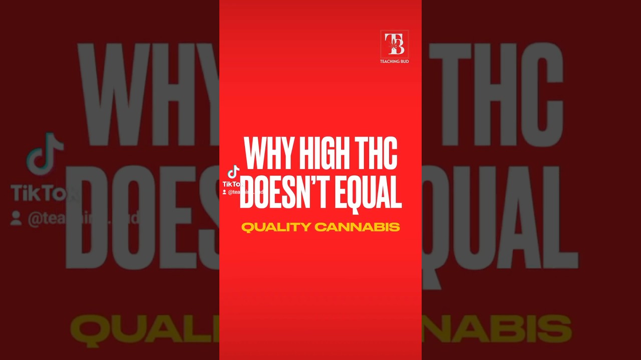 Judging cannabis by THC is like picking wine for alcohol content. True quality lies in the details.