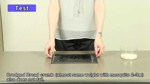 Máy Tạo Ion - Lọc Khí và Bắt Muỗi SHARP FP-FM40E-B có bán tại Việt Nam