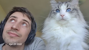 Fragments of Subjective Reality (2020)