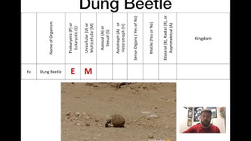 Classification Lab Introduction