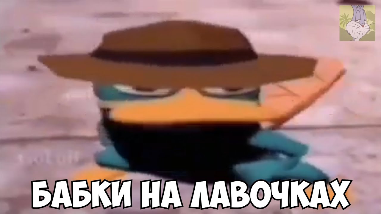 Когда вышел заз