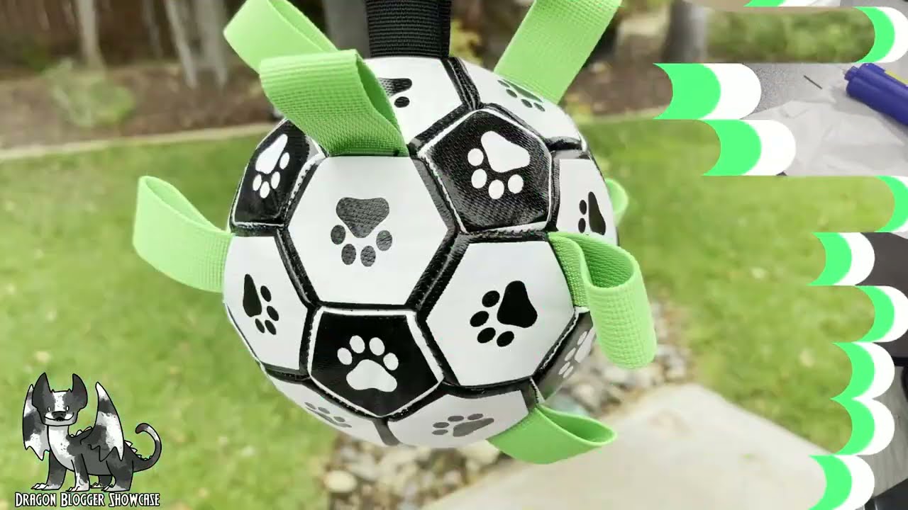 Boston Terrier Approved Dog Soccer Ball with Grab Tabs YouTube