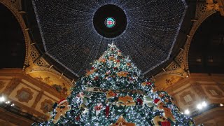 Swarovski Holiday | The Tree of Dreams