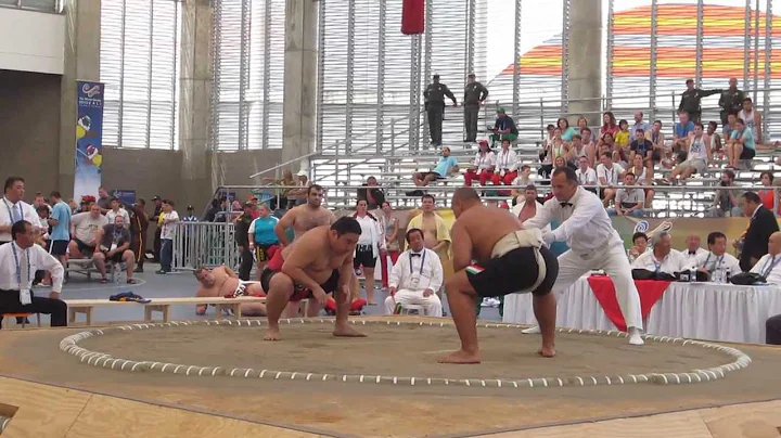 TWG2013Cali Sumo Ricardo AOYAMA vs Istvan KALMAR