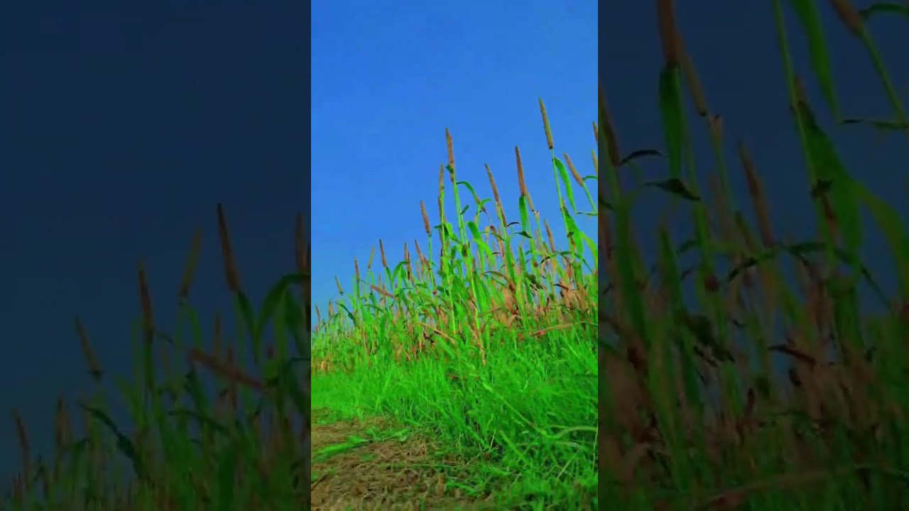 🛋️ Air Inflatable Sofa Couch Chair with Footstool for Indoor and Outdoor ￼ premium comfortable Fofa