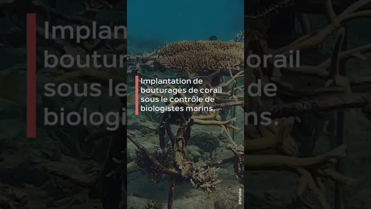 Collaboration Sothys Paris x Tēnaka | Sothys