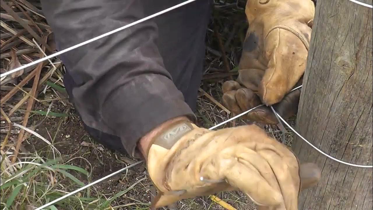 Llama fencing No2 YouTube