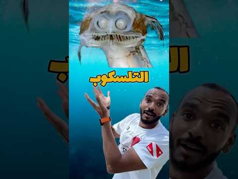 سمكة التليسكوب فى اعماق المحيط 
