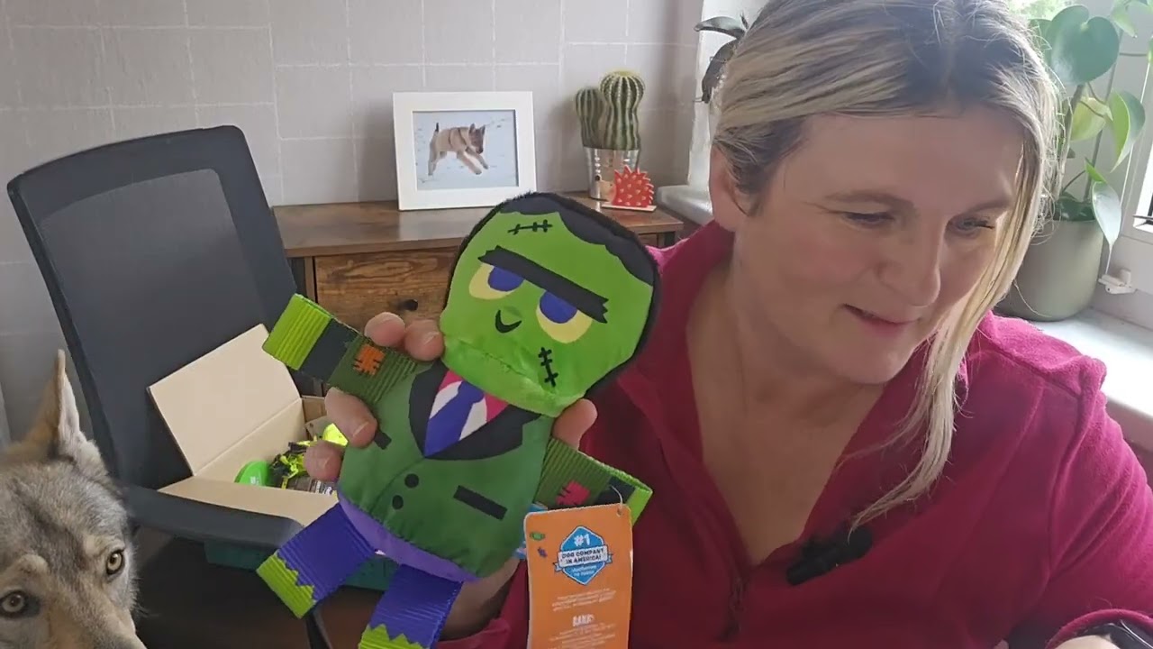 Fellbox Oktober 🐾 Hat sich die Box gelohnt? | Lebebunt mit Hund