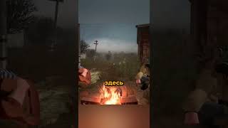 Кооп-СТАЛКЕР в Steam?! MISERY — лучший выживач года!