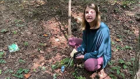 Week 3 - Forest Field Lab  - Soil Temp and Moisture