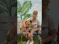 Angus video