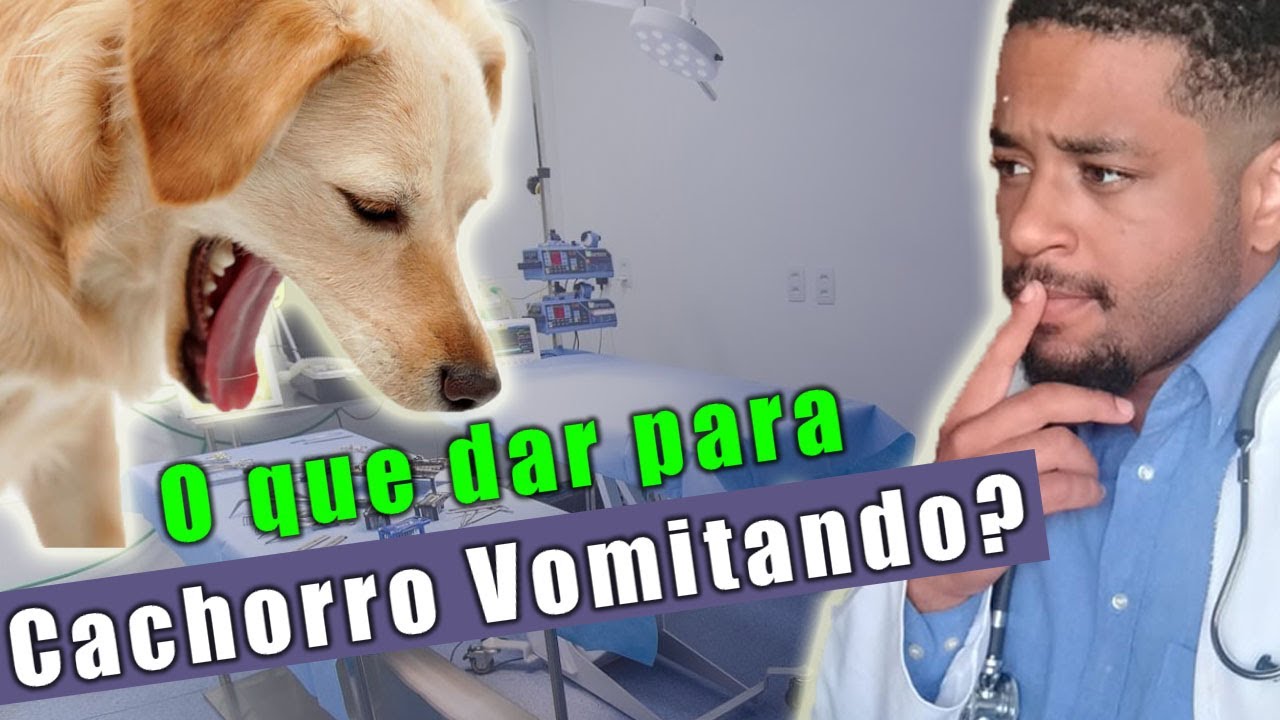 O que dar para CACHORRO VOMITANDO? - YouTube