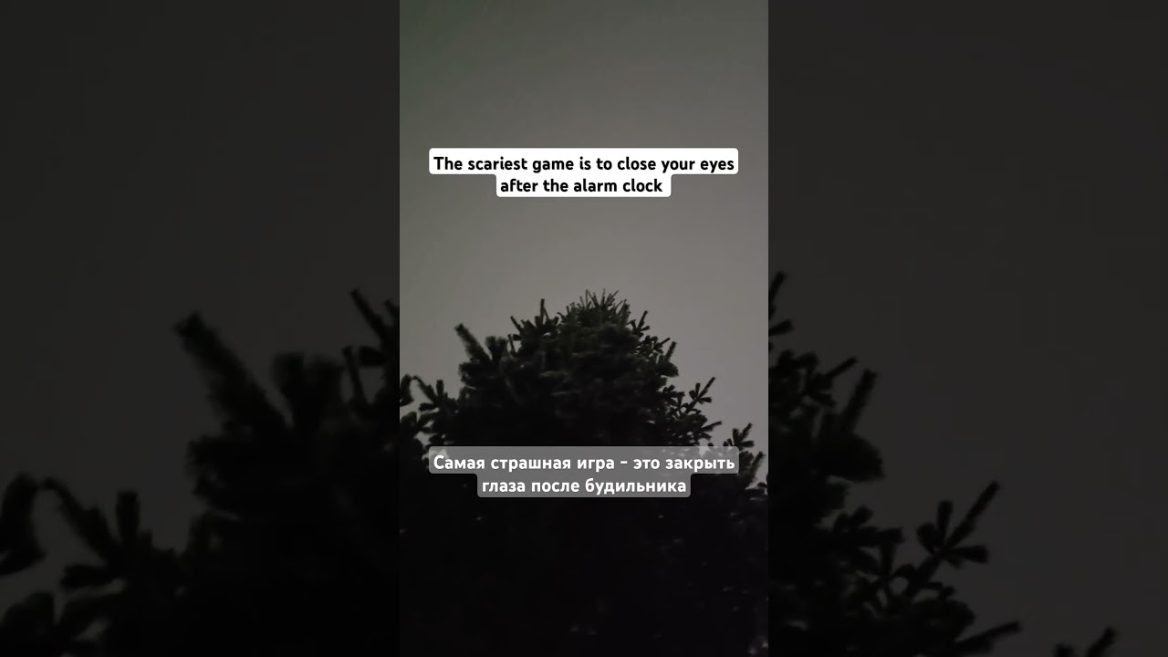 Full video in my inst: @mareliza