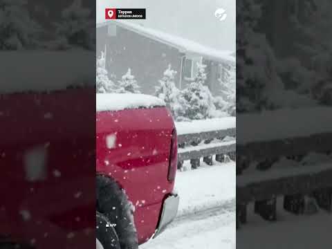 TORMENTA DE NIEVE EN NUEVA YORK: VUELOS CANCELADOS Y CAOS EN EL TRANSPORTE